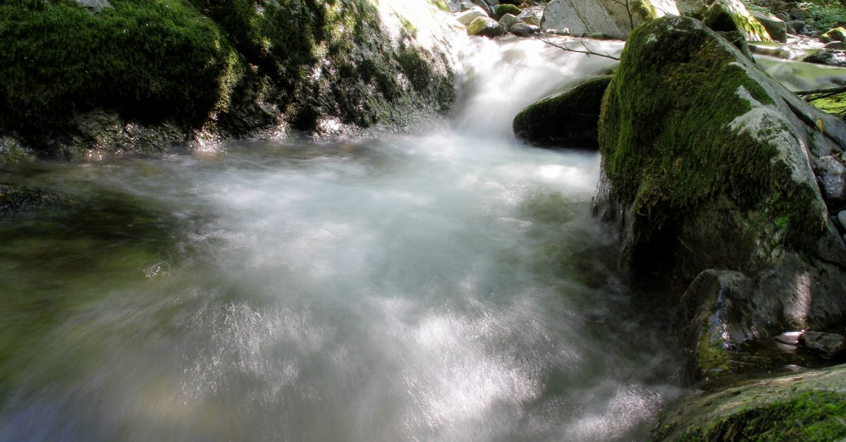6 mesta na Zlatiboru gde se najlakše sklonite od vrućine