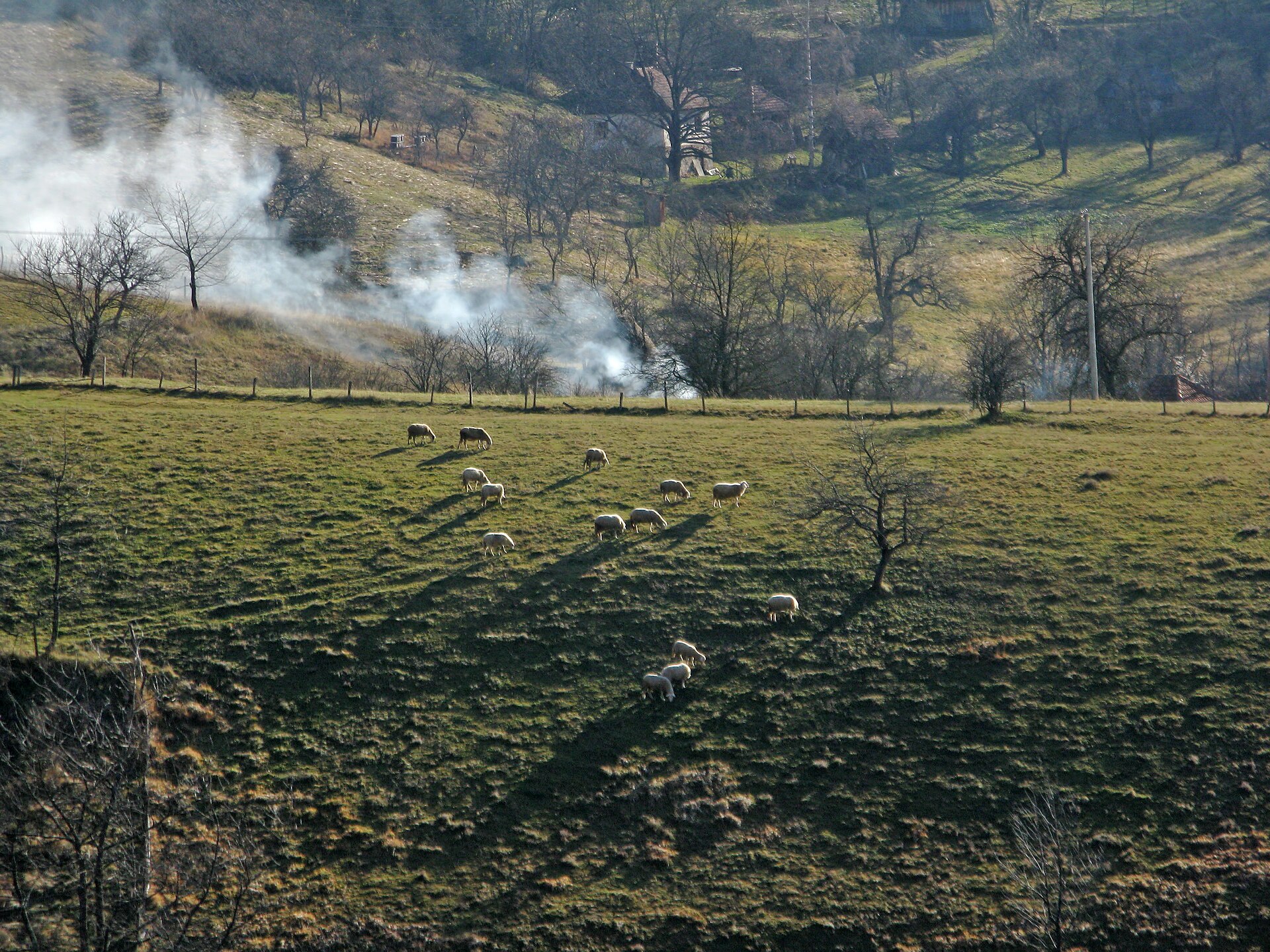 Murtenica: zlatiborski pašnjaci i tiha strana planine