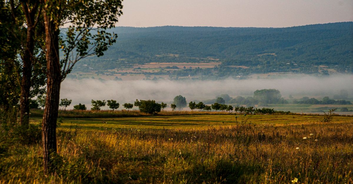 Rano jutro na Zlatiboru: šta raditi pre nego što se atrakcije otvore