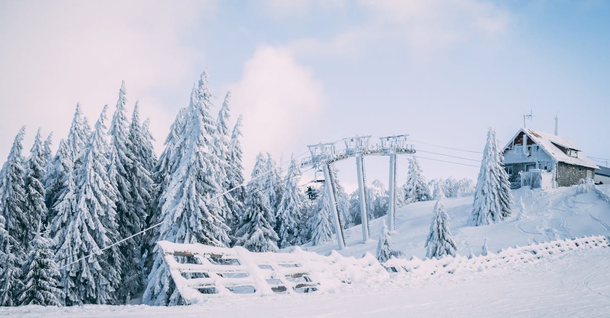 Zima na Zlatiboru 2026: Vodič za savršen zimski odmor