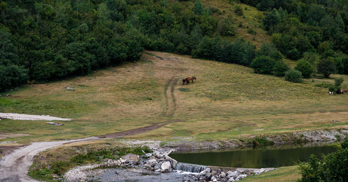 Crni Rzav — Planinska reka koja oblikuje Zlatibor