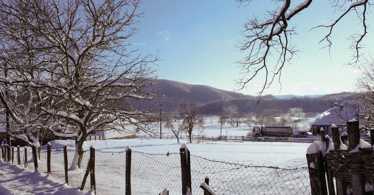 Mećavnik i Mokra Gora - Kusturičina filmska čarolija