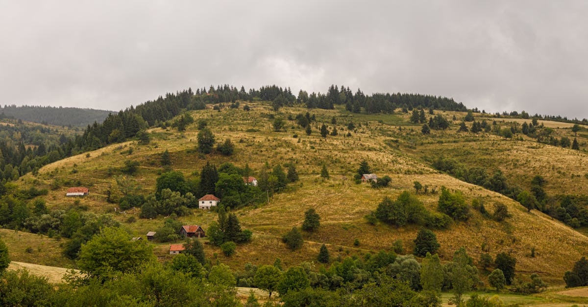 Terzića Avlija - etno selo sa dušom