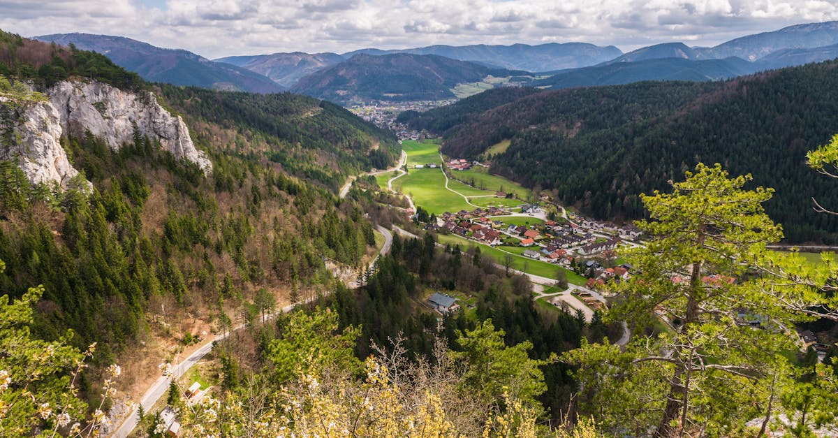 Tripkova