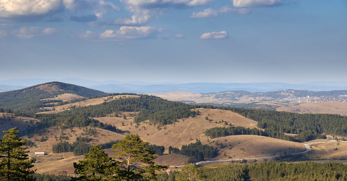 Gastronomski vodič za Zlatibor
