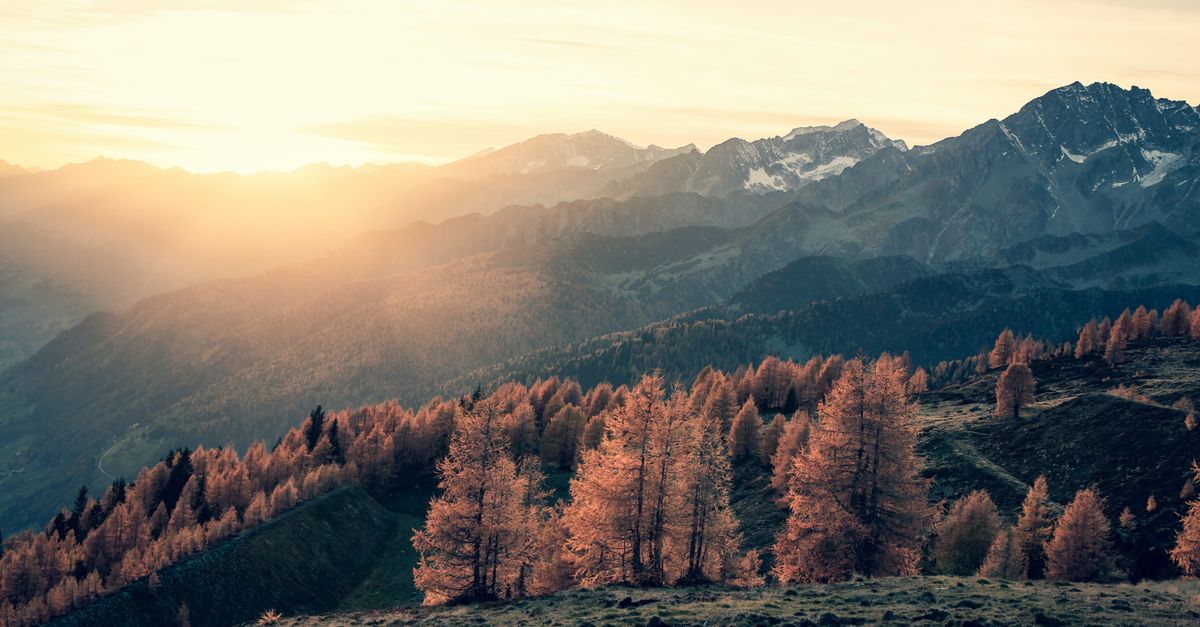 Vodič za jesenje fotografisanje na Zlatiboru